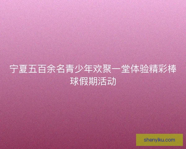 宁夏五百余名青少年欢聚一堂体验精彩棒球假期活动