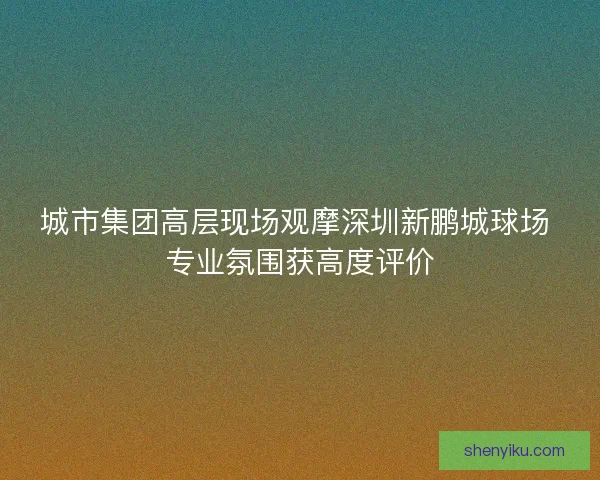 城市集团高层现场观摩深圳新鹏城球场 专业氛围获高度评价