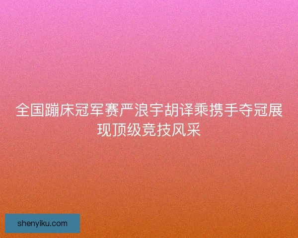 全国蹦床冠军赛严浪宇胡译乘携手夺冠展现顶级竞技风采